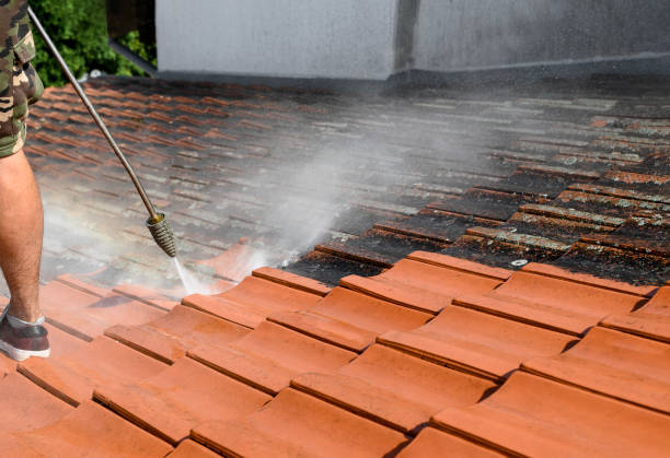 Best Pressure Washing Siding  in Basking Ridge, NJ
